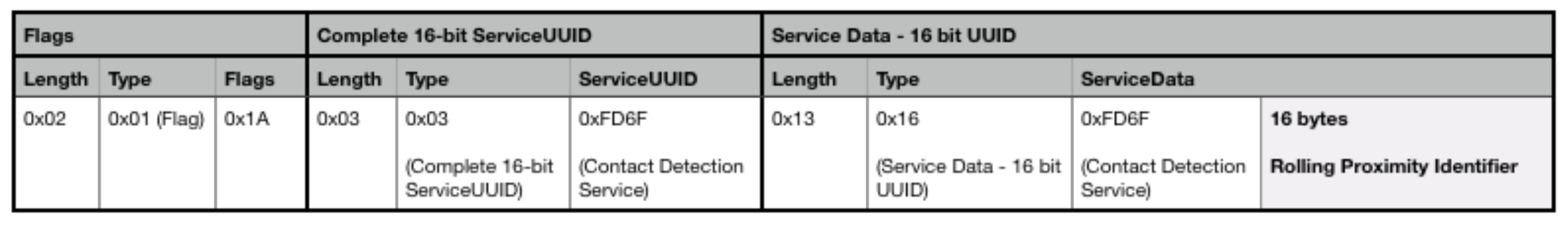 Custom Beacon Format